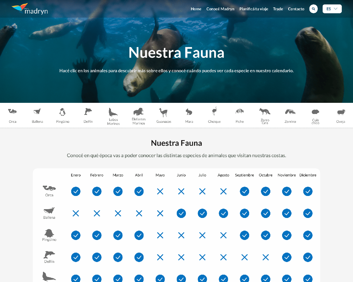 Madryn Travel — 1