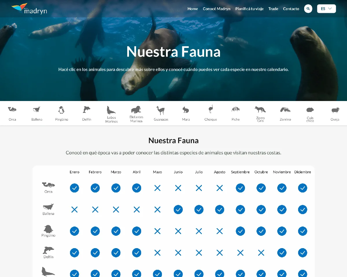 Madryn Travel — 1